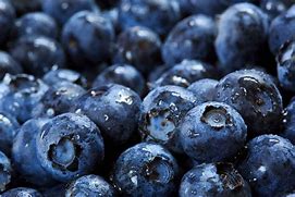 Image result for Blueberry Bloom