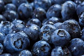 Image result for Liberty Blueberry