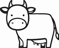 Image result for Cow with Broken Leg