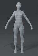 Image result for Body 3D Model Maker