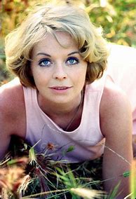 Image result for Susannah York Face