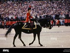 Image result for Queen Elizabeth Side Saddle