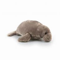 Image result for Dugong Stuffed Animal