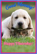 Image result for Good Morning Happy Thursday Dog