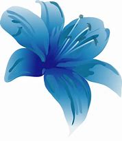 Image result for Blue Lily Clip Art