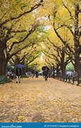 Image result for Meiji Jingu Park