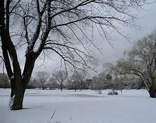 Image result for Four Seasons Park Lombard