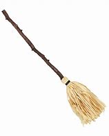 Image result for Motorized Witches Broom