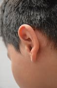 Image result for Ear of Boy