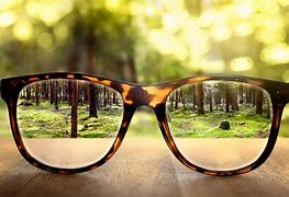 Image result for Bee Eyesight