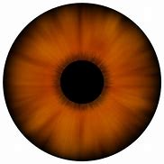 Image result for Brown Cartoon Eye Texture