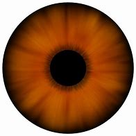 Image result for Dark Brown Eye Texture