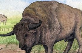 Image result for Prehistoric Giant Bison