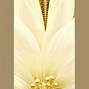 Image result for Gold Flowers Clip Art