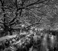 Image result for Ueno Park Hanami