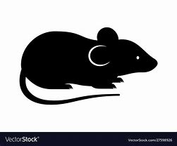 Image result for Money Rat SVG