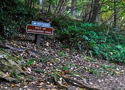 Image result for Blue Ridge Parkway Waterfalls Loop Trail