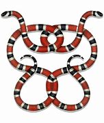 Image result for Gucci Snake PNG