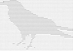 Image result for Raven ASCII