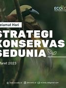 Image result for Foto Konservasi