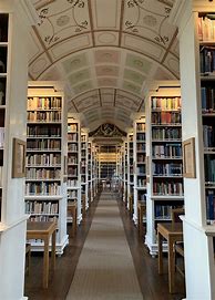 Image result for Library Room Aesthetic