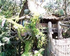 Image result for David Stiles Tarzan Treehouse