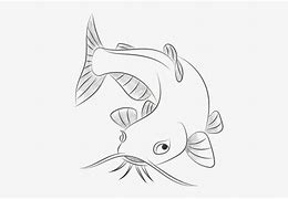 Image result for Animalcrossing Catfish