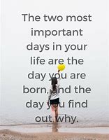 Image result for What Is Your Why Is Life