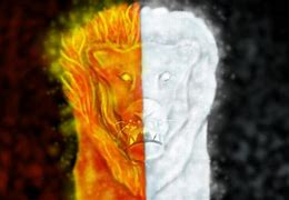 Image result for Fire and Ice Lion