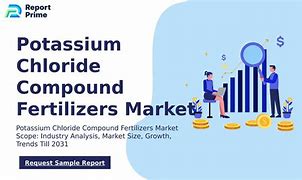 Image result for Potassium Chloride Compound