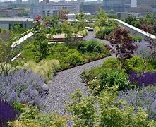 Image result for Roof Top Apartment Garden and Patio