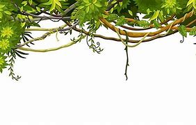 Image result for Animated Jungle Vines