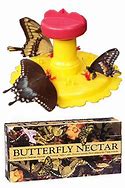 Image result for Butterfly Feeder