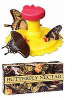 Image result for Butterfly Feeder Bowl