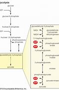 Image result for Fermentation System