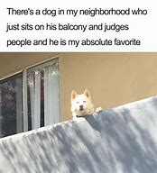 Image result for Resivior Dog Meme Ear