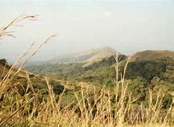 Image result for Mount Nimba Strict Nature Reserve