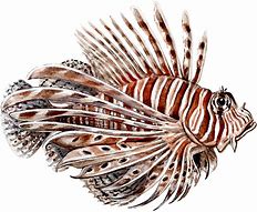 Image result for Lionfish Sea Monster