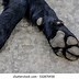 Image result for Making Dog Paw Prints