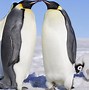 Image result for Love Actually Penguin Readers