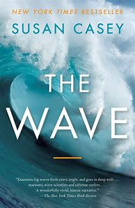 Image result for The Wave Book