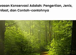 Image result for Foto Konservasi