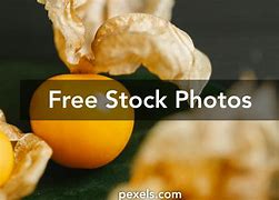 Image result for Cherry Blossom Food