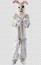 Image result for Easter Bunny Clip Art Costume