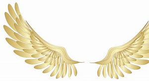 Image result for Wings Logo.png