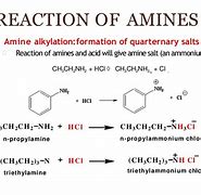 Image result for Aromatic Amine