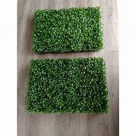 Image result for Rumput Plastik