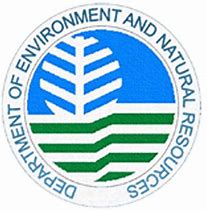 Image result for DENR 7 Logo