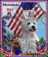 Image result for Memorial Day Dog