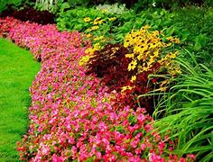 Image result for Spring Landscaping